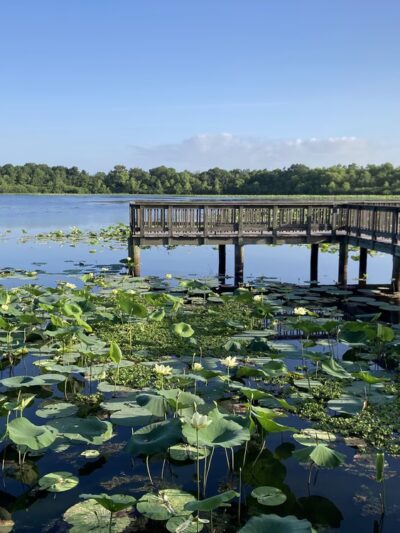 Cullinan Park - Sugar Land, TX