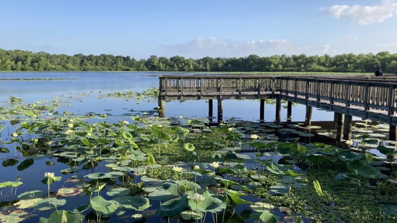 Cullinan Park - Sugar Land, TX