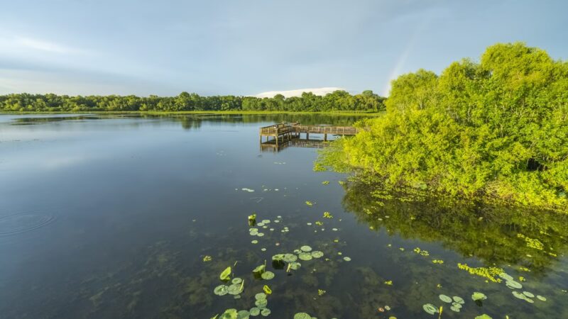 Cullinan Park - Sugar Land, TX