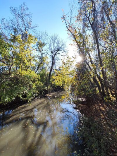 Lost Creek Park - Sugar Land, TX
