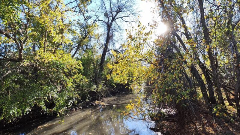 Lost Creek Park - Sugar Land, TX