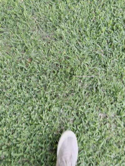 Meadow Lake Park - Sugar Land, TX