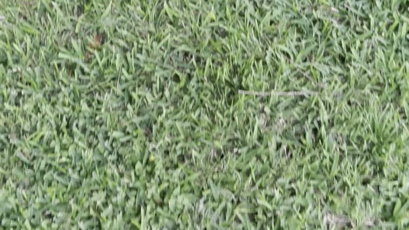 Meadow Lake Park - Sugar Land, TX