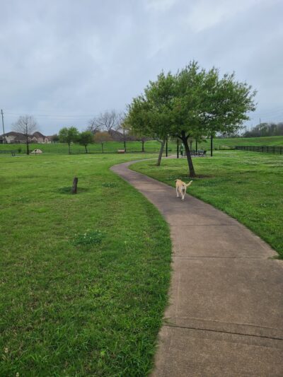 Riverstone Dog Park - Sugar Land, TX