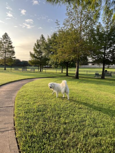 Riverstone Dog Park - Sugar Land, TX