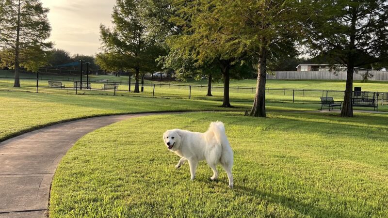 Riverstone Dog Park - Sugar Land, TX