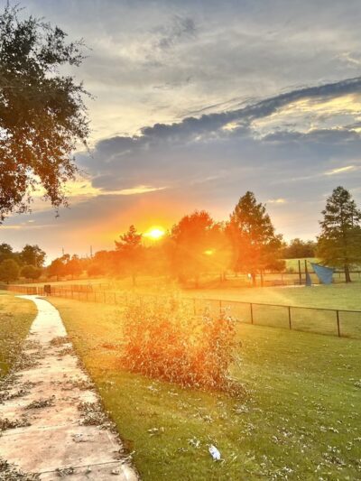 Riverstone Dog Park - Sugar Land, TX