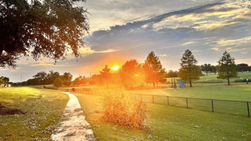 Riverstone Dog Park - Sugar Land, TX