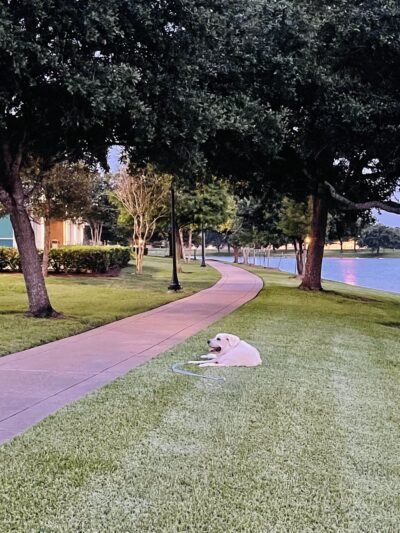 Sugar Lakes Park - Sugar Land, TX