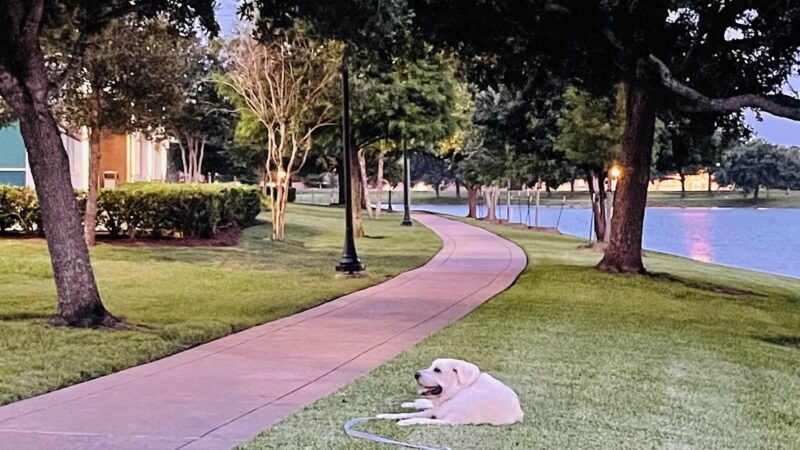 Sugar Lakes Park - Sugar Land, TX