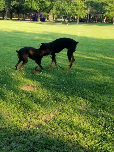 Sugar Lakes Park - Sugar Land, TX