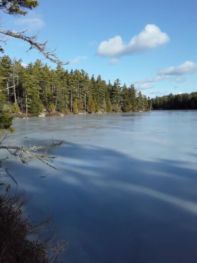 Long Ledges Preserve - Frenchman Bay Conservancy - Sullivan, ME