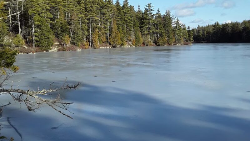 Long Ledges Preserve - Frenchman Bay Conservancy - Sullivan, ME