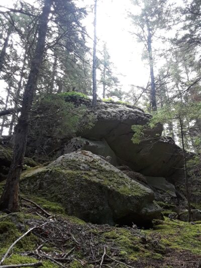 Long Ledges Preserve - Frenchman Bay Conservancy - Sullivan, ME