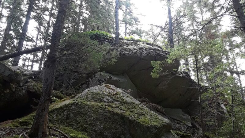 Long Ledges Preserve - Frenchman Bay Conservancy - Sullivan, ME