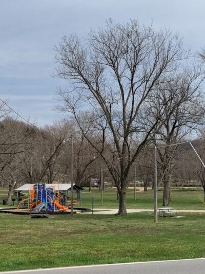 Sulphur Springs City Park - Sulphur Springs, AR