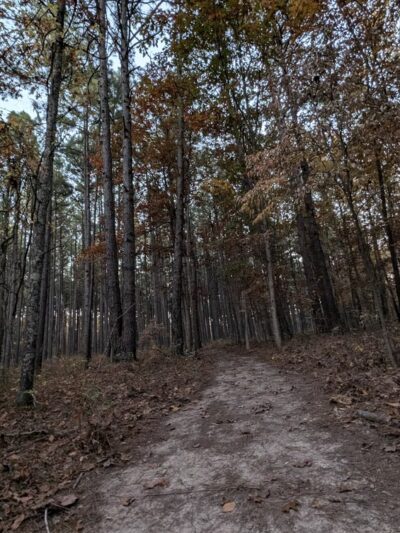 Barn Hollow Natural Area - Summersville, MO