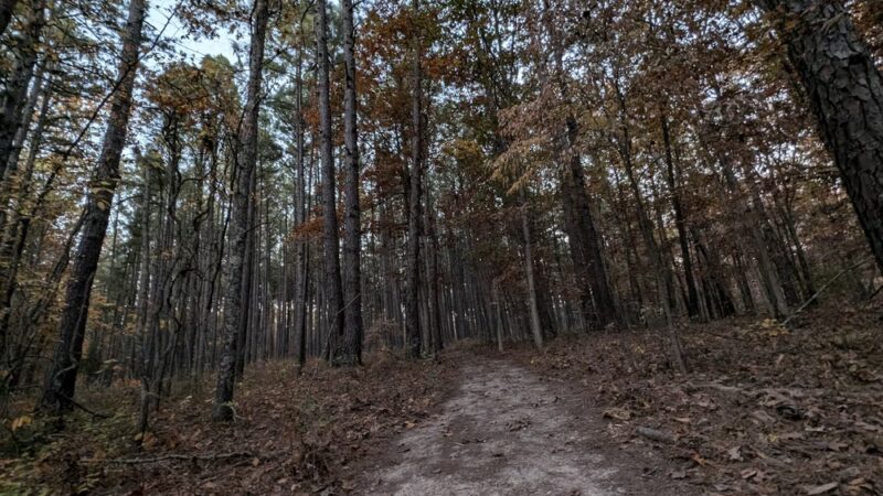 Barn Hollow Natural Area - Summersville, MO