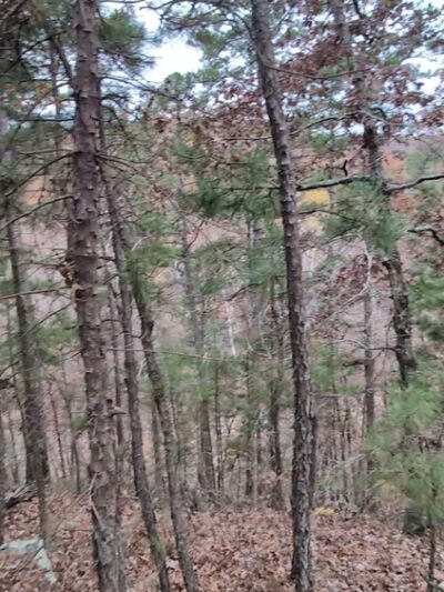 Barn Hollow Natural Area - Summersville, MO