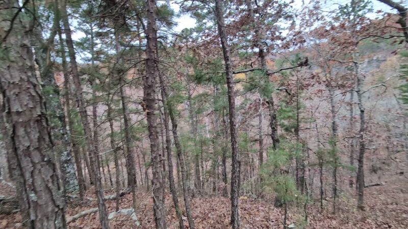 Barn Hollow Natural Area - Summersville, MO