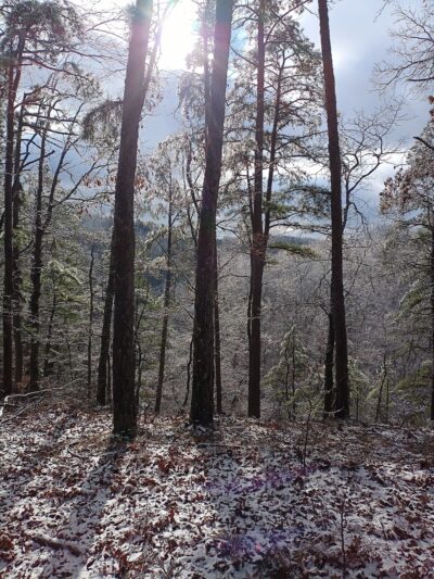 Barn Hollow Natural Area - Summersville, MO