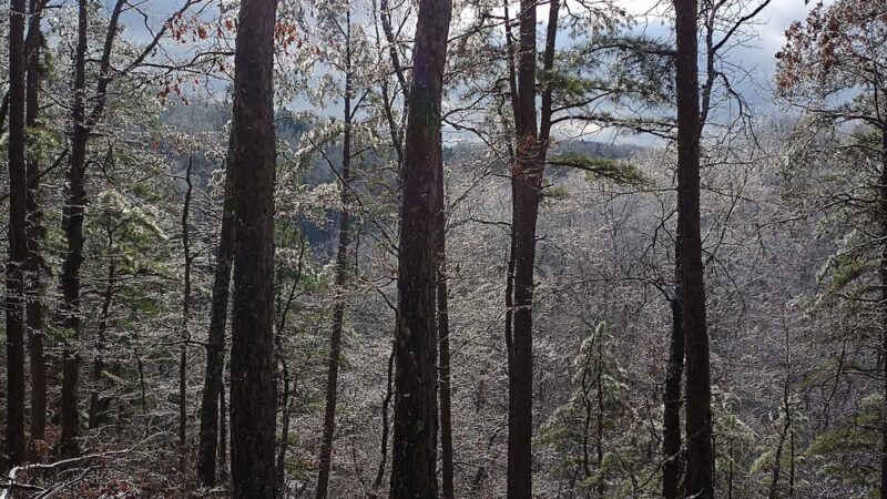 Barn Hollow Natural Area - Summersville, MO