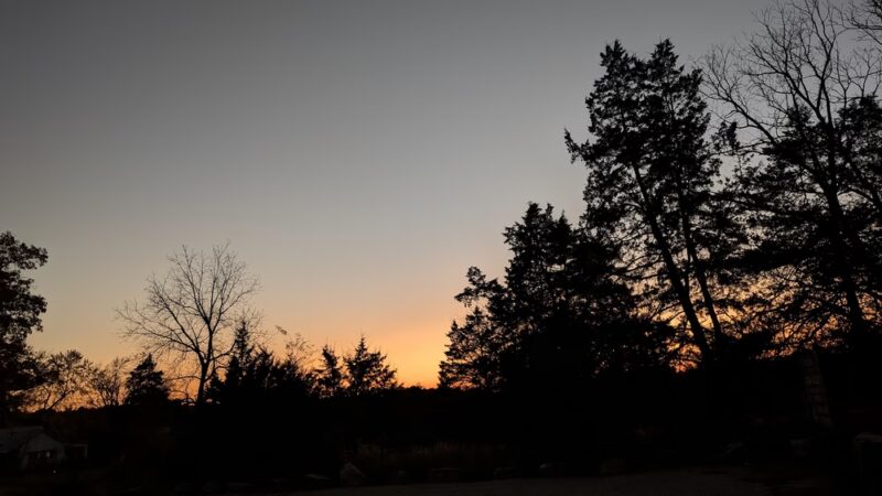 Barn Hollow Natural Area - Summersville, MO