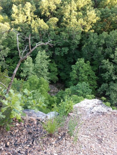 Barn Hollow Natural Area - Summersville, MO