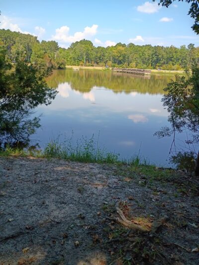 Ashley River Park - Dog Park - Summerville, SC