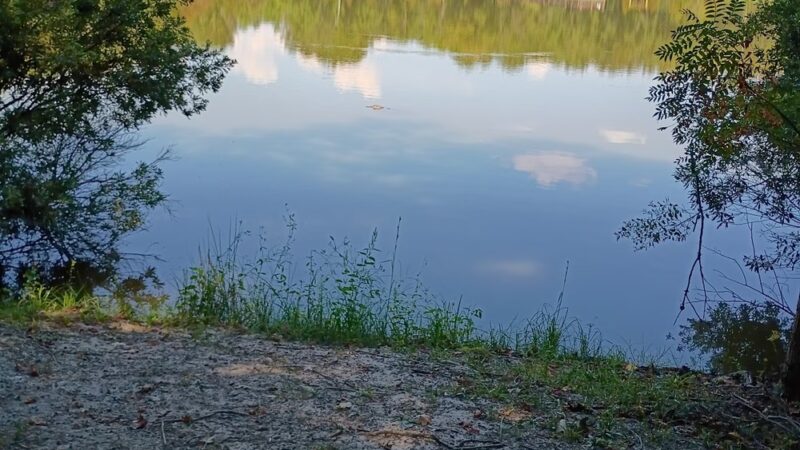 Ashley River Park - Dog Park - Summerville, SC