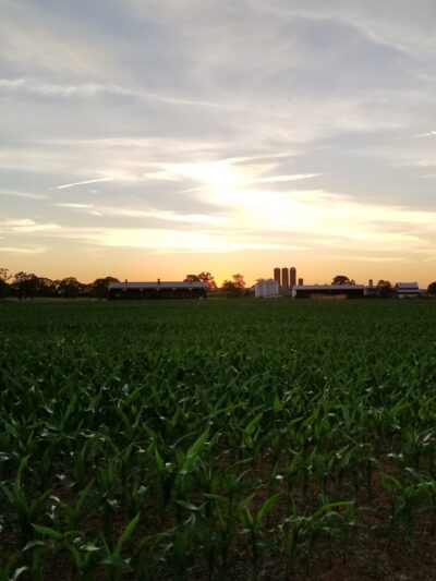 South Jefferson Park - Summit Point, WV