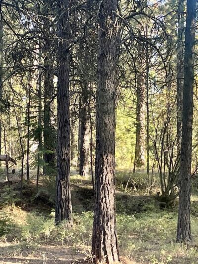 Sumpter RV Park - Sumpter, OR