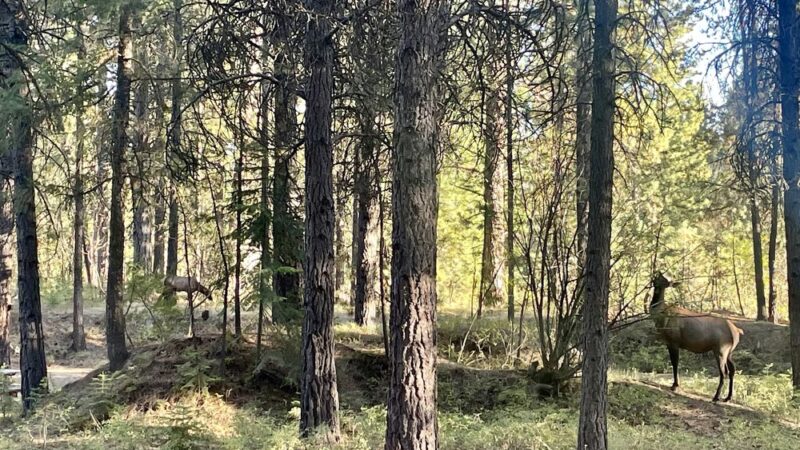 Sumpter RV Park - Sumpter, OR