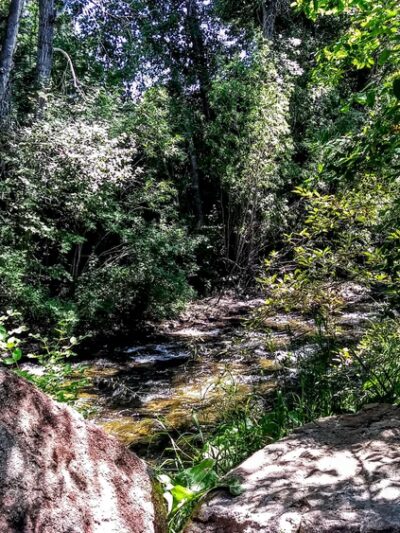 Lucy Loken Park - Sun Valley, ID