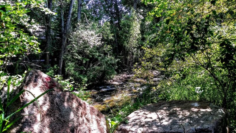 Lucy Loken Park - Sun Valley, ID