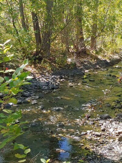 Lucy Loken Park - Sun Valley, ID