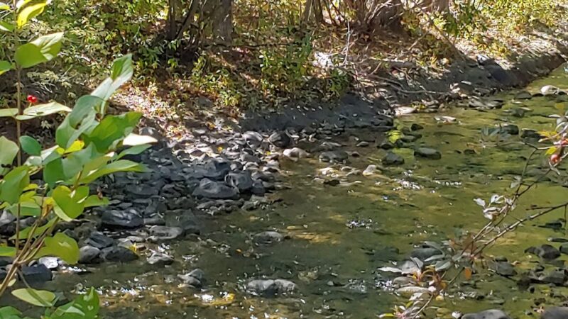 Lucy Loken Park - Sun Valley, ID
