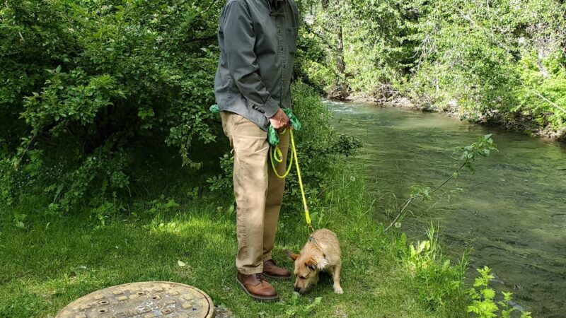 Lucy Loken Park - Sun Valley, ID
