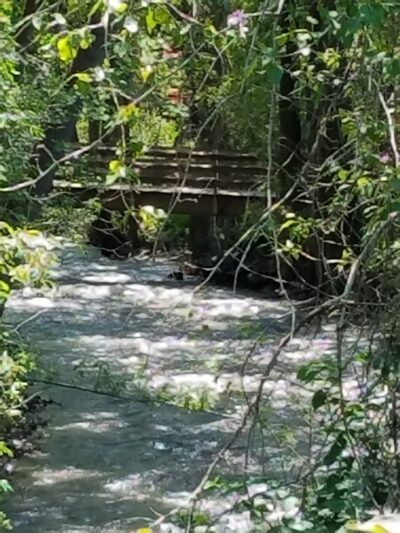 Lucy Loken Park - Sun Valley, ID