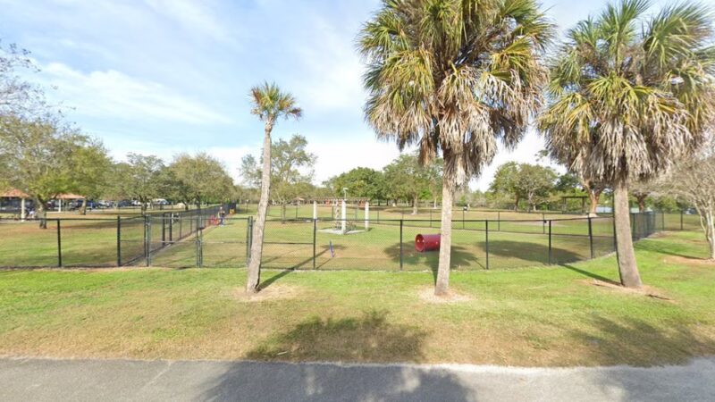 Baby Dog Area - Sunrise, FL