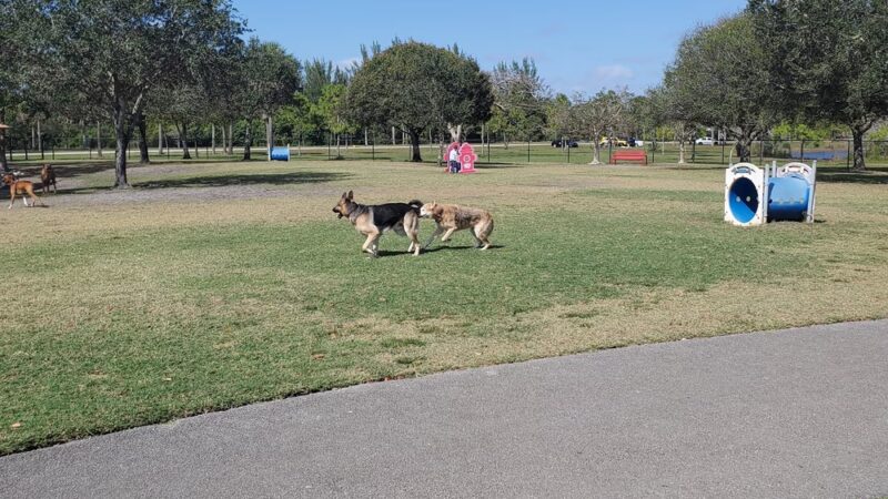 Barkham at Markham - Sunrise, FL