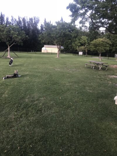 Big Dogs Area - Sunrise, FL
