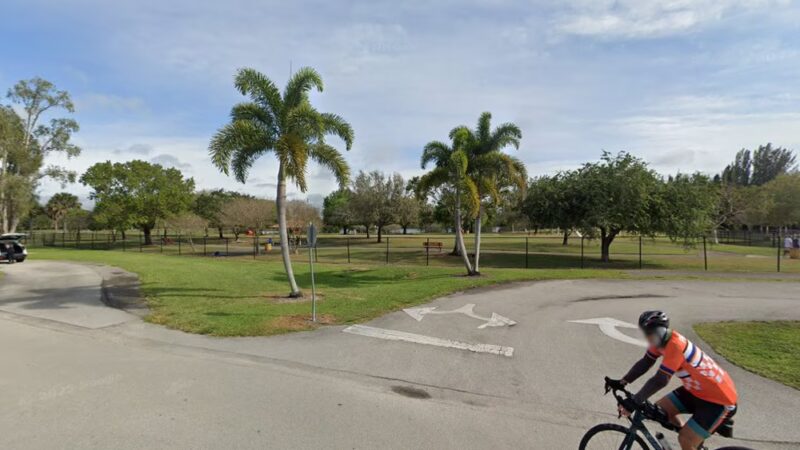 Big Dogs Area - Sunrise, FL