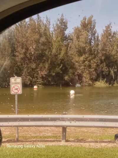 Markham Park: Shelter #2 - Medium - Sunrise, FL