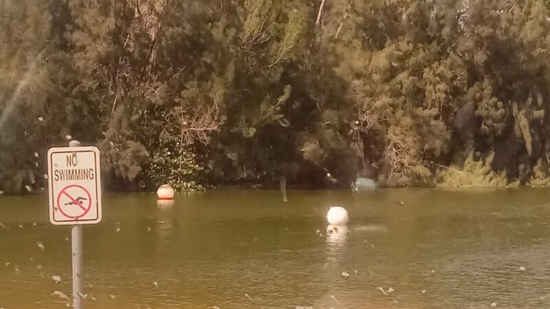 Markham Park: Shelter #2 - Medium - Sunrise, FL