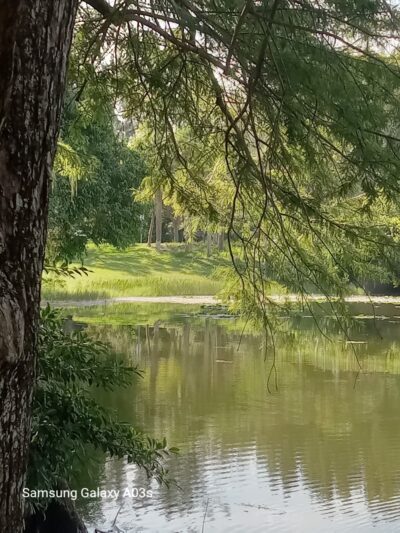 Markham Park: Shelter #2 - Medium - Sunrise, FL