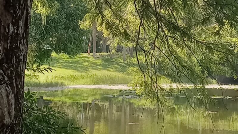 Markham Park: Shelter #2 - Medium - Sunrise, FL