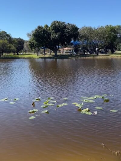 Markham Park & Target Range - Sunrise, FL