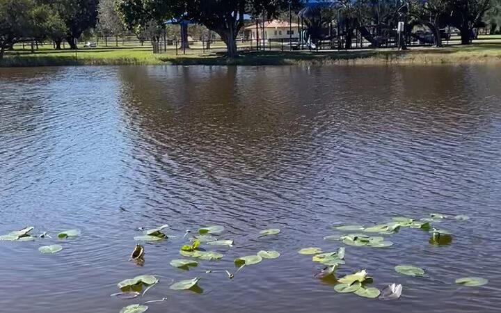 Markham Park & Target Range - Sunrise, FL