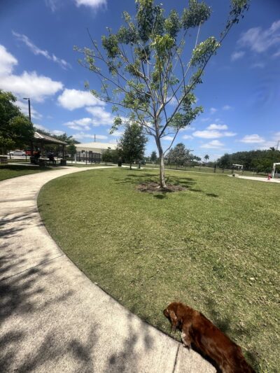 Pawgrass at Welleby Park - Sunrise, FL